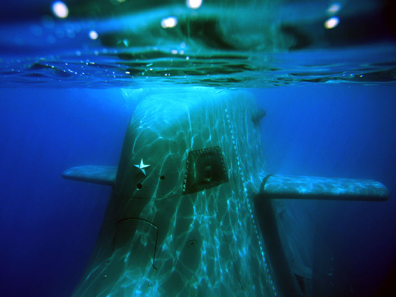 Click image for larger version

Name:	Todero underwater.jpg
Views:	1
Size:	66.1 KB
ID:	101741