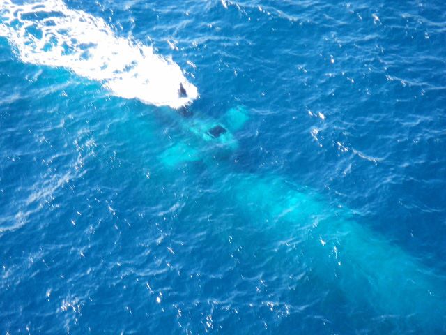 Click image for larger version

Name:	ITS Todero.jpg
Views:	1
Size:	57.1 KB
ID:	101738