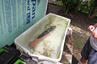 Click image for larger version

Name:	IMG_4660.jpg
Views:	159
Size:	66.4 KB
ID:	181728