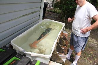 Click image for larger version

Name:	IMG_4663.jpg
Views:	160
Size:	67.7 KB
ID:	181730