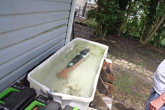 Click image for larger version

Name:	IMG_4664.jpg
Views:	164
Size:	67.7 KB
ID:	181731