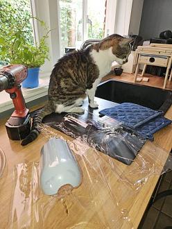 Click image for larger version  Name:	IMG-20240820-WA0009.jpg Views:	0 Size:	69.6 KB ID:	184052