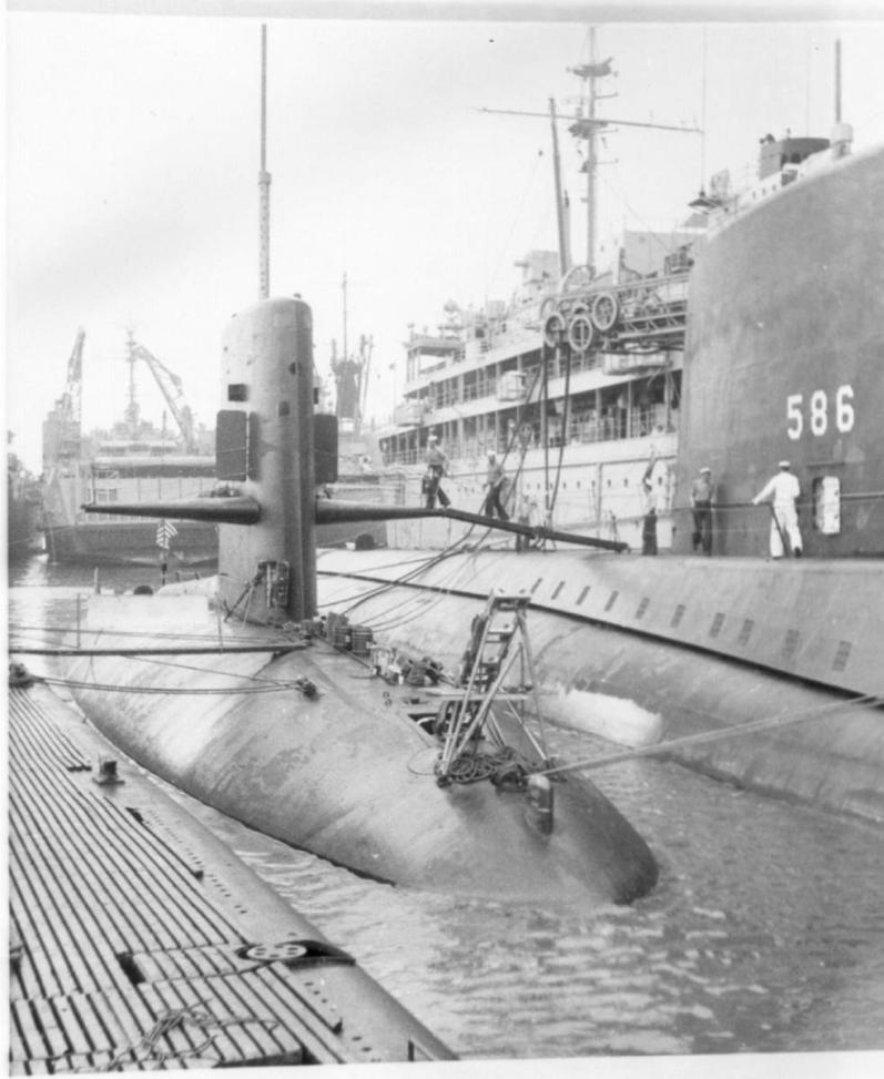 Click image for larger version

Name:	Shark and triton 1965.jpg
Views:	3
Size:	86.4 KB
ID:	67145