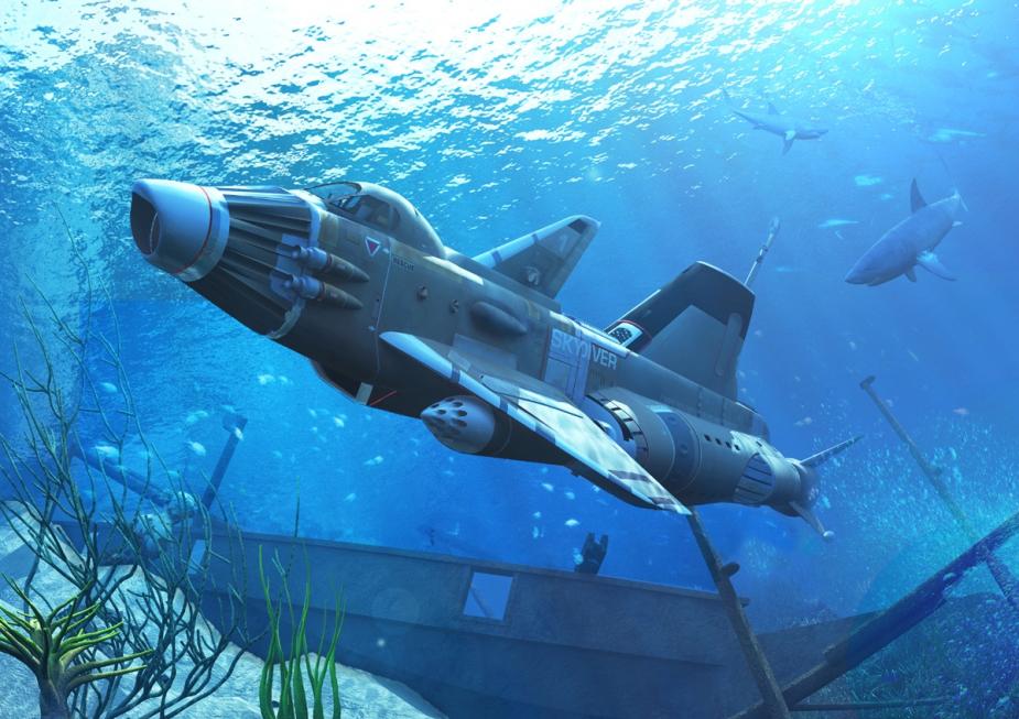 Click image for larger version

Name:	SkydiverSubmerged.jpg
Views:	1
Size:	95.3 KB
ID:	82112