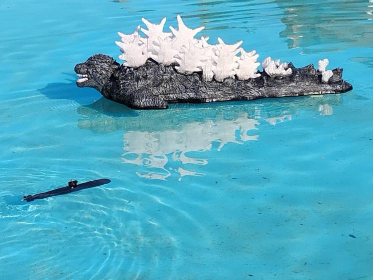 Click image for larger version

Name:	Dolphin1.jpg
Views:	26
Size:	56.2 KB
ID:	189542