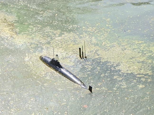 Click image for larger version

Name:	PD_goo.jpg
Views:	0
Size:	66.8 KB
ID:	192792