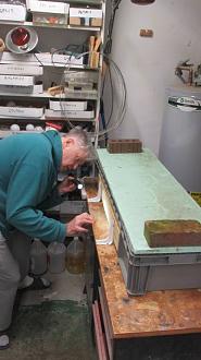 Click image for larger version  Name:	wBhpf7.jpg Views:	0 Size:	69.8 KB ID:	192918