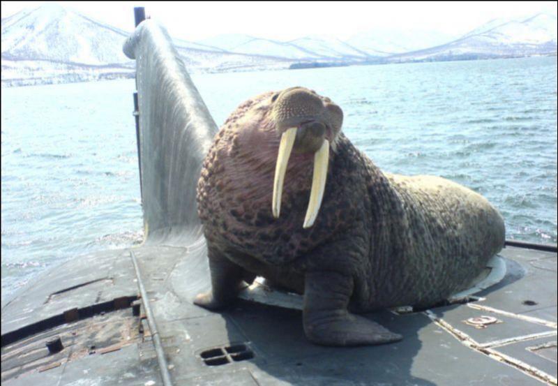 Click image for larger version

Name:	image020.jpg
Views:	1
Size:	58.9 KB
ID:	63438