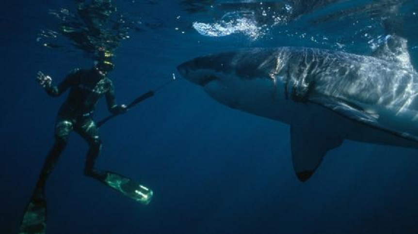 Click image for larger version

Name:	5948196184_ae5de6c656_b.jpg
Views:	1
Size:	93.1 KB
ID:	65308