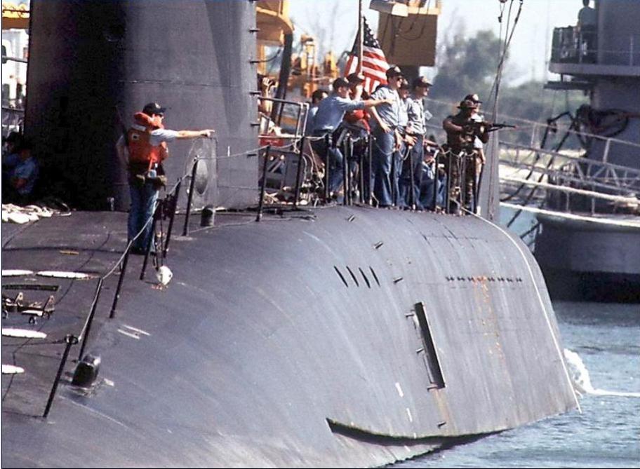 Click image for larger version

Name:	Boomer turtleback detail.jpg
Views:	1
Size:	93.3 KB
ID:	76518