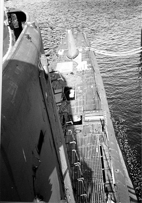 Click image for larger version

Name:	salmon 1993.jpg
Views:	2
Size:	101.3 KB
ID:	76271