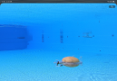Click image for larger version  Name:	IMG_0106.png Views:	0 Size:	17.7 KB ID:	195198