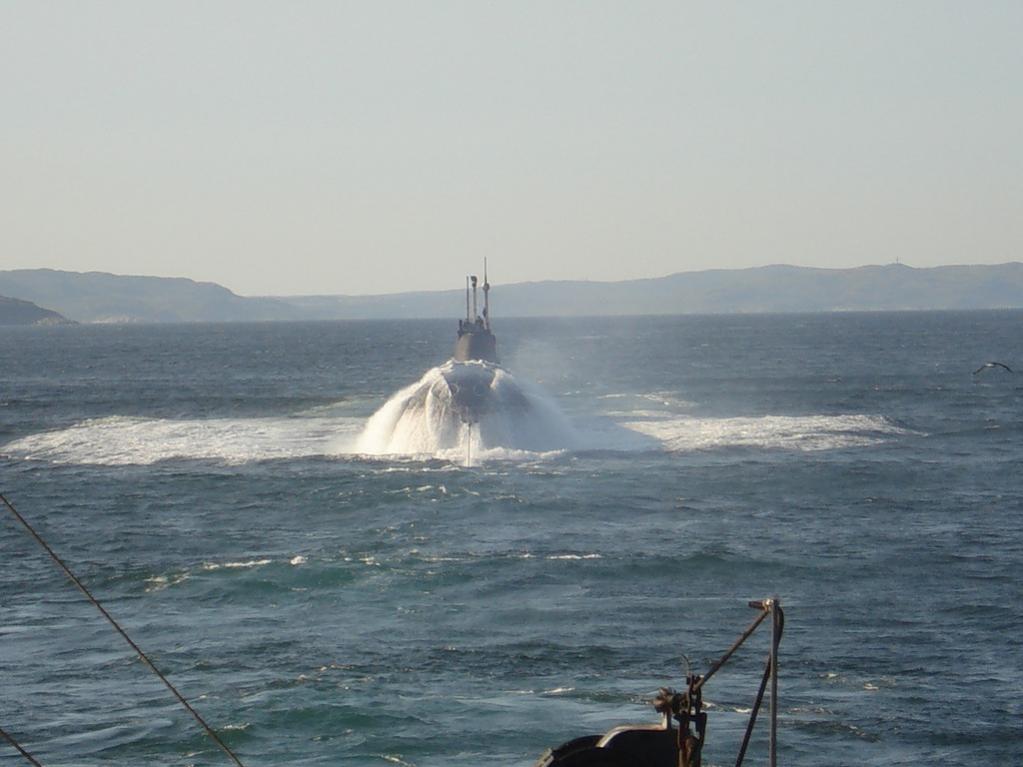 Click image for larger version

Name:	akula 999999999994.jpg
Views:	1
Size:	71.6 KB
ID:	75424