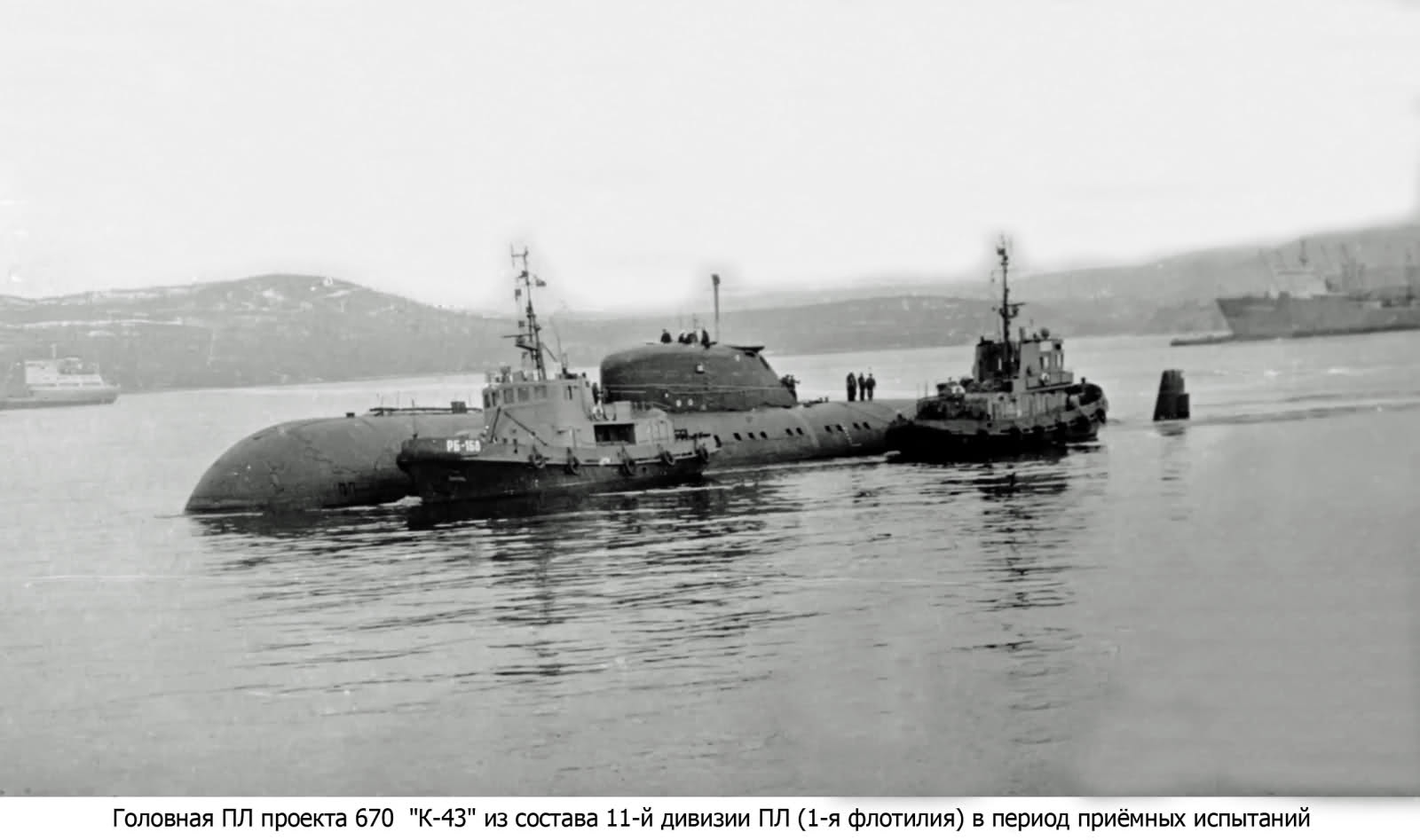 Click image for larger version

Name:	Charlie and tugs.jpg
Views:	1
Size:	89.0 KB
ID:	76528