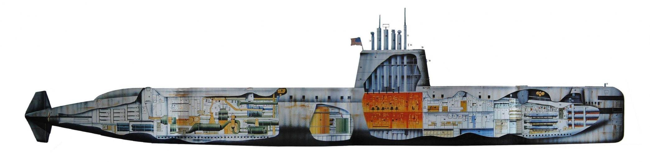 Click image for larger version

Name:	nautilus cutaway.jpg
Views:	1
Size:	101.9 KB
ID:	74176