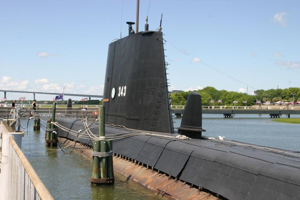 Click image for larger version

Name:	Clamagore sail back.jpg
Views:	1
Size:	77.0 KB
ID:	75715