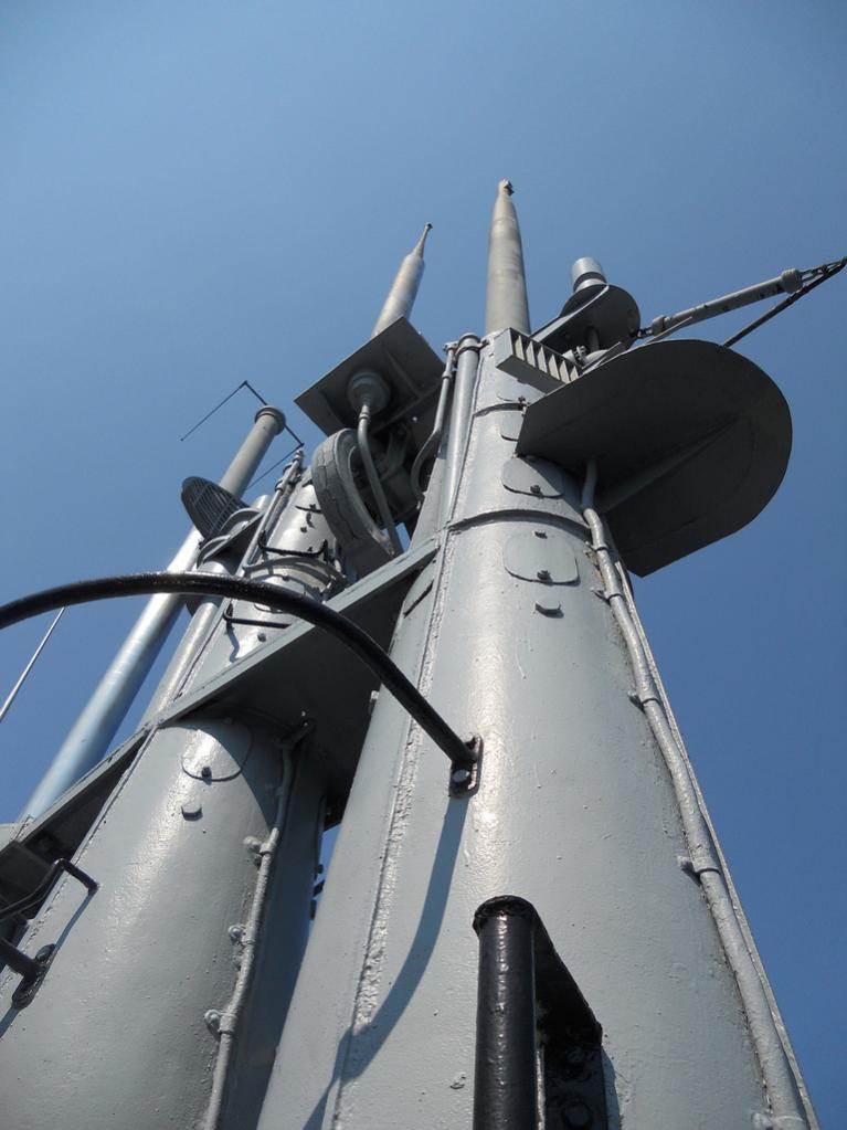 Click image for larger version

Name:	Lionfish masts.jpg
Views:	1
Size:	72.0 KB
ID:	75361