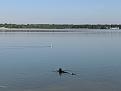 Click image for larger version

Name:	22_01.jpg
Views:	411
Size:	407.7 KB
ID:	134313
