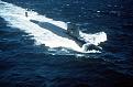 Click image for larger version

Name:	1024px-USS_Lafayette_SSBN-616.jpg
Views:	263
Size:	47.2 KB
ID:	166677