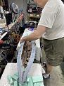 Click image for larger version

Name:	IMG_1688.jpg
Views:	257
Size:	64.5 KB
ID:	171625