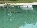 Click image for larger version

Name:	IMG_1976.jpg
Views:	282
Size:	68.4 KB
ID:	173874