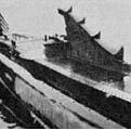 Redfish 02.jpg