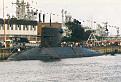 Click image for larger version

Name:	walrus03.jpg
Views:	122
Size:	36.5 KB
ID:	56535
