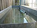 Click image for larger version

Name:	DSCF5258.jpg
Views:	140
Size:	95.7 KB
ID:	56589