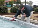 Click image for larger version

Name:	DSCN0042.jpg
Views:	268
Size:	95.7 KB
ID:	57486