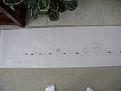 Click image for larger version

Name:	U-11 plans 004.jpg
Views:	172
Size:	93.6 KB
ID:	60801