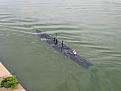 Click image for larger version

Name:	img_0519.jpg
Views:	101
Size:	91.9 KB
ID:	64716