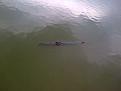 Click image for larger version

Name:	IMG-20120121-00059.jpg
Views:	179
Size:	129.1 KB
ID:	66156