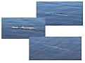 Click image for larger version

Name:	Jeffs Type VII pg10.jpg
Views:	429
Size:	46.7 KB
ID:	99655
