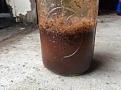 Here you can see the rust settleling to the bottom